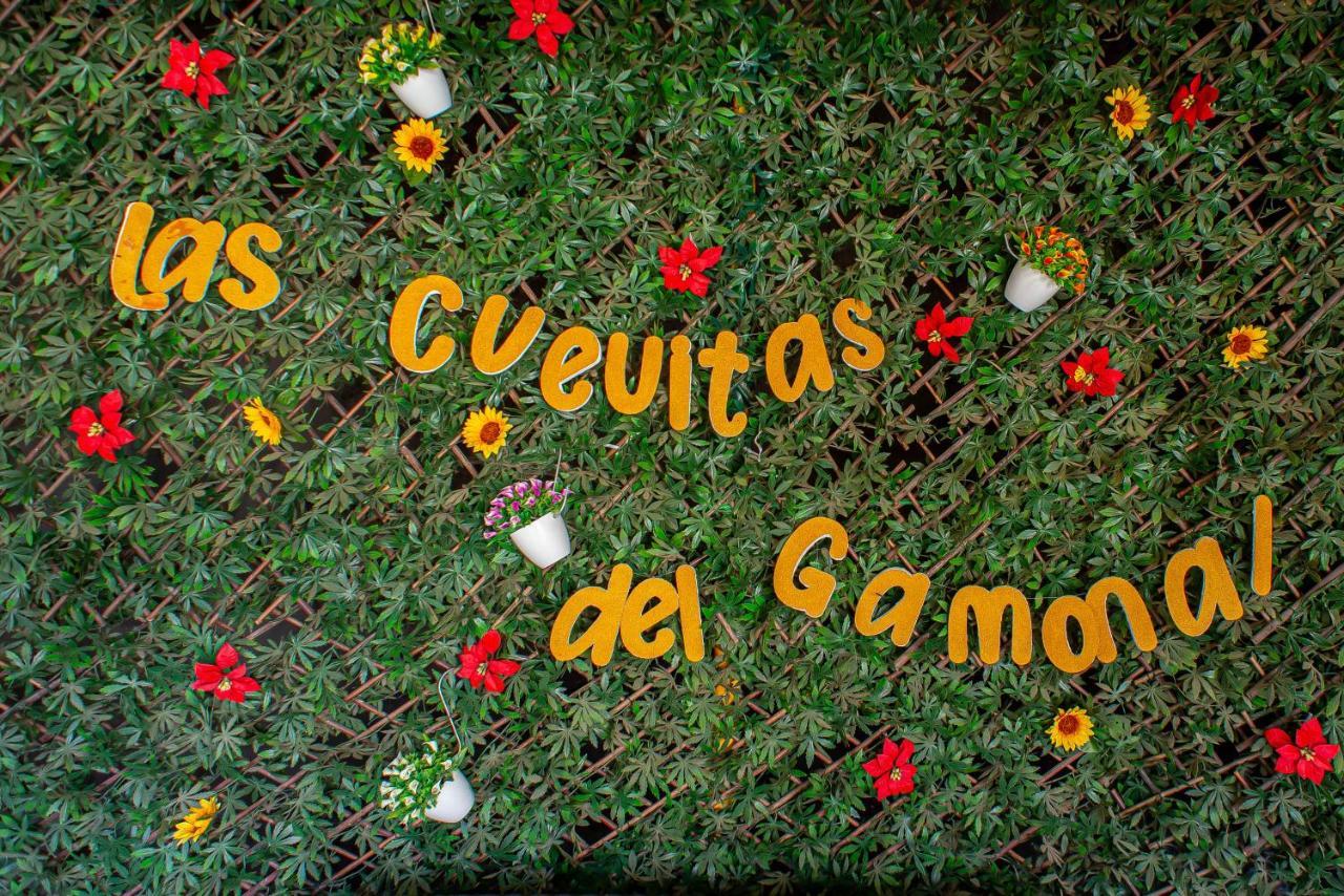 Cuevitas Del Gamonal Casa de Férias Santa Brígida